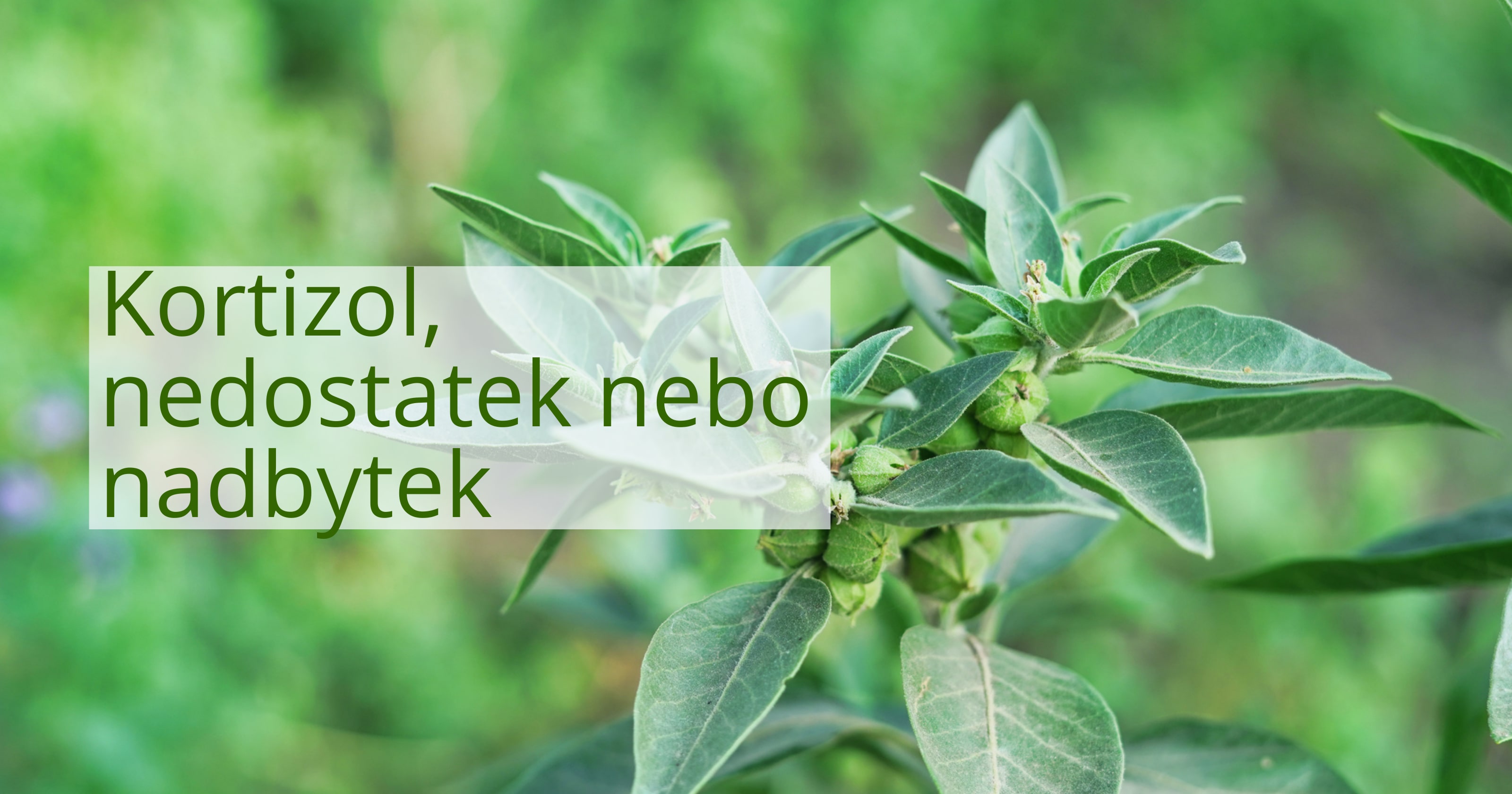 kortizol-nadbytek-nedostatek